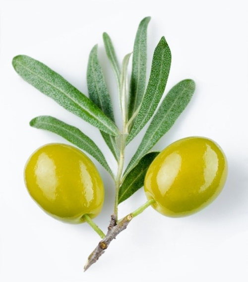 Unknown Uses Of Olive Oil