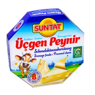 Dreieckiger Streichkäse 20 x 175 g