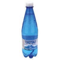 TatSu Natural Mineral Water still 0,5l PET (Exp