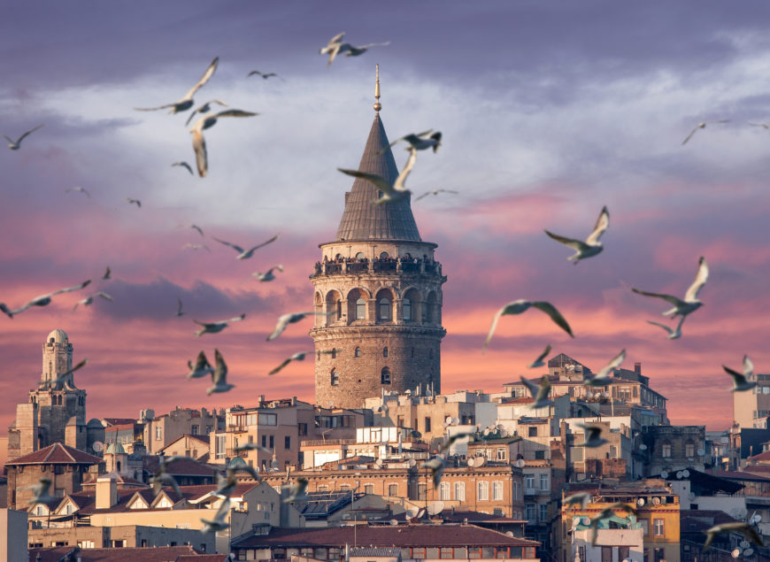 Galata Tower in Istanbul Turkey with seagulls on the foreground